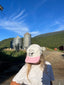 "Made in Alberta" Hat - Tequila Swim
